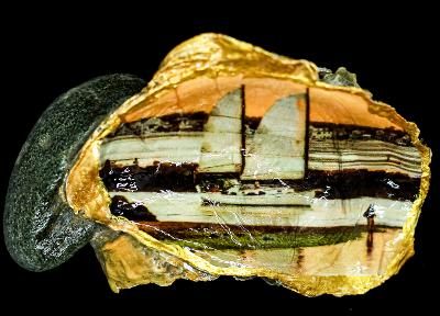Sailboat Oyster Shell - GULF BEACH Milford CT  Trinket/Ring Holder