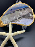 Signal Rock with Starfish and Snow Oyster Shell Trinket/Ring Holder